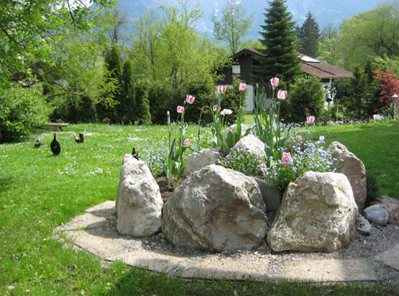 Blumen und Steine